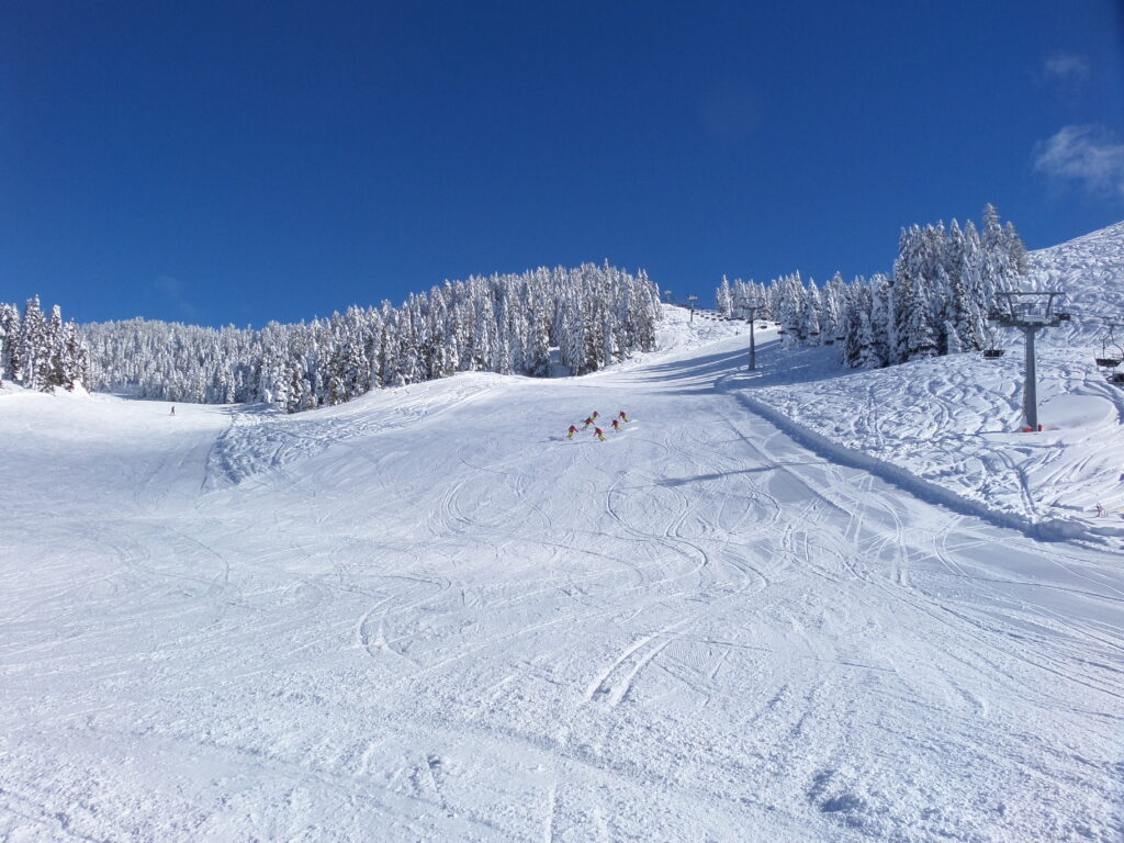 Piste Cima Aquila - Albi Caprioli